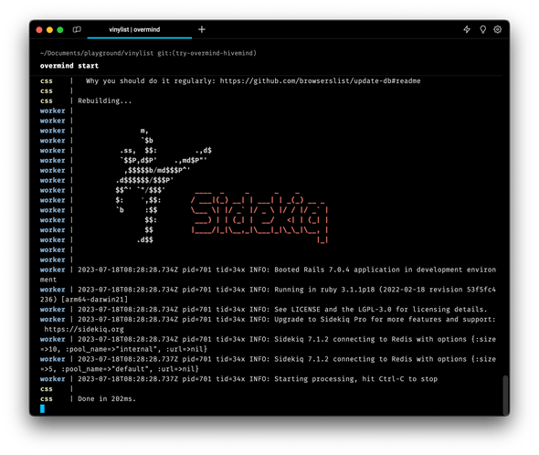 Overmind start command starts processes from Procfile